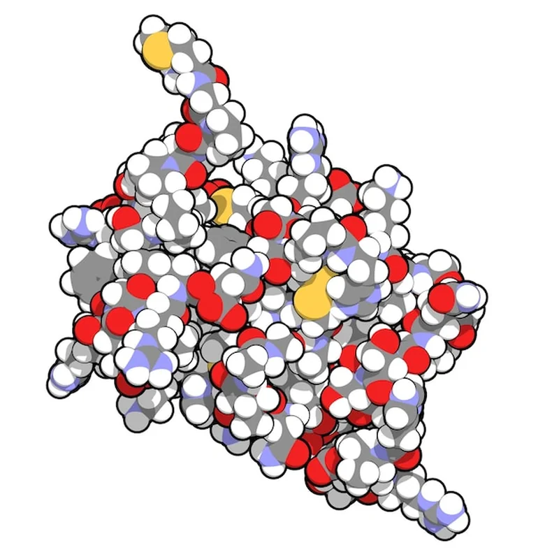 Czy kalcytonina i ct pomogą w hashimoto? Jak wykonać badanie
