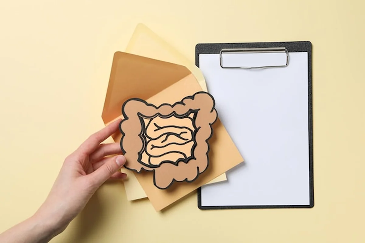 Koncepcja problemów żołądkowych i jelitowych w opiece zdrowotnej