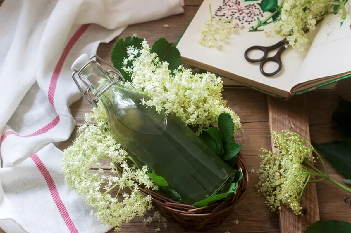 Syrop z kwiatów bzu czarnego w szklanym słoju na drewnianym stole