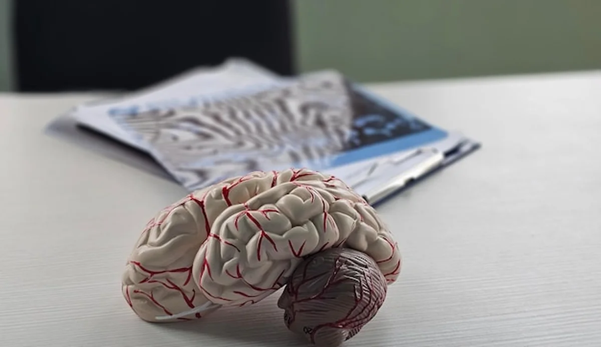 Diagnoza i leczenie chorób neurologicznych mózgu