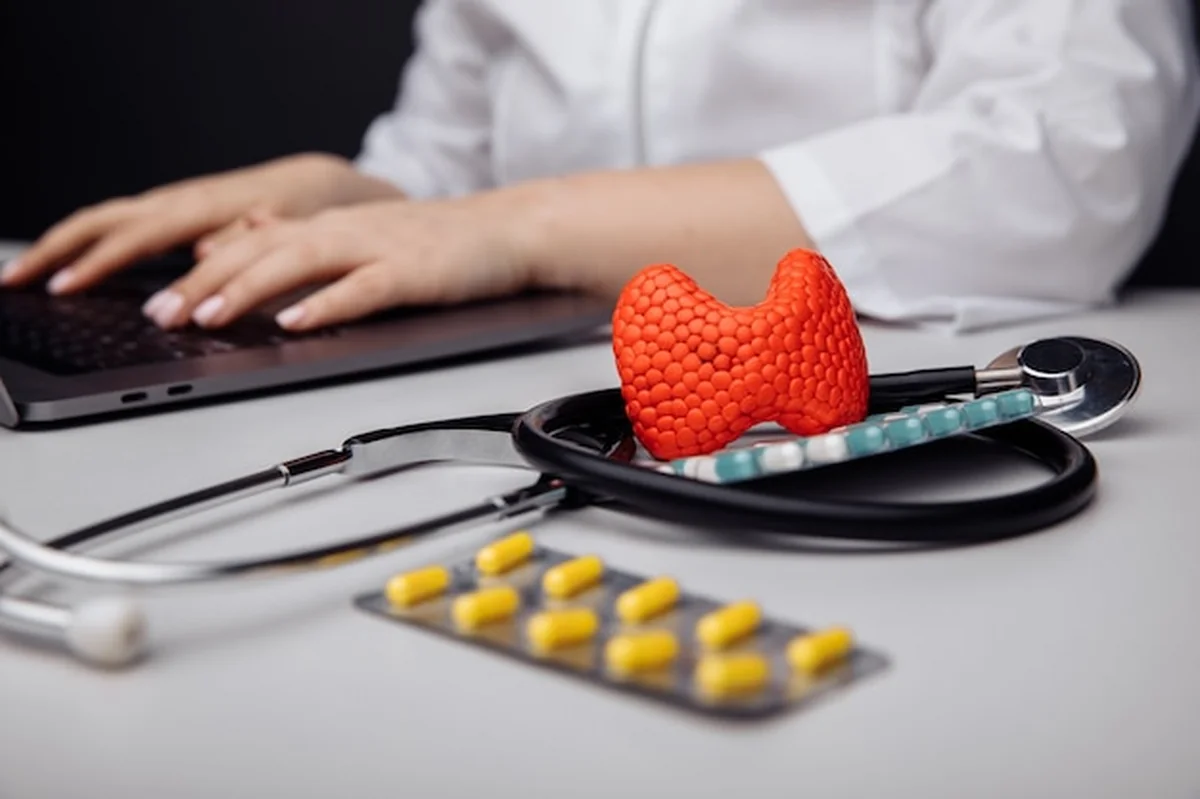 Model tarczycy obok stetoskopu na stole