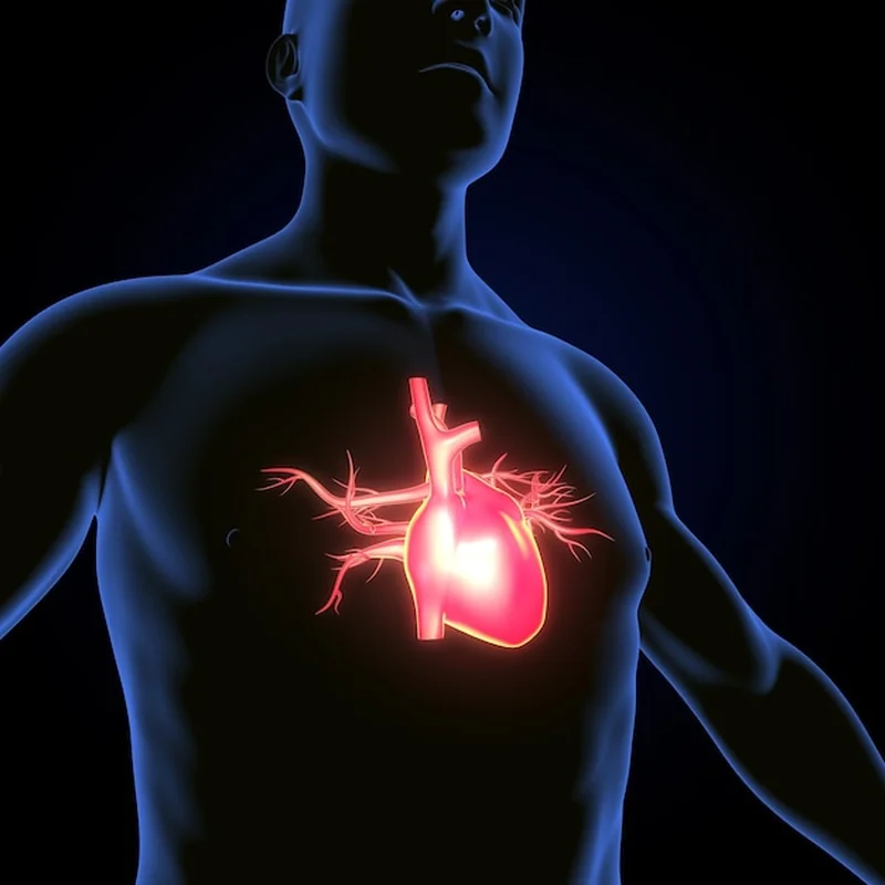 Jakie są najczęstsze objawy chorób serca? Sprawdź, jak dbać o serce