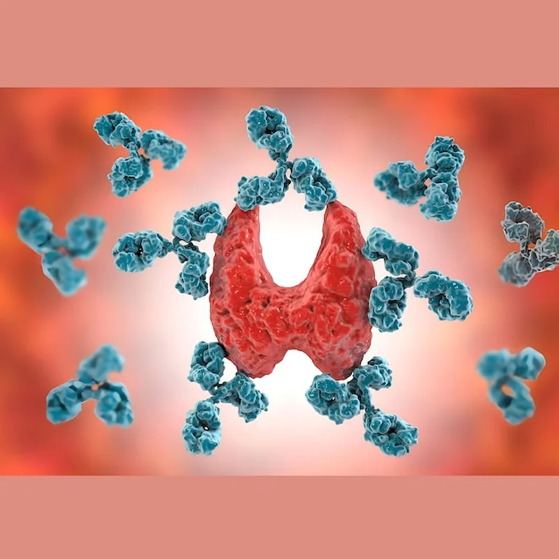Jakie tsh przy hashimoto jest prawidłowe? Sprawdź normy