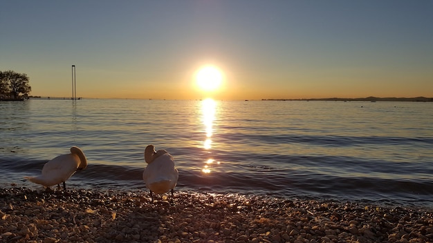 Masz wątpliwości przed ślubem? Rozwiewamy przedślubne lęki